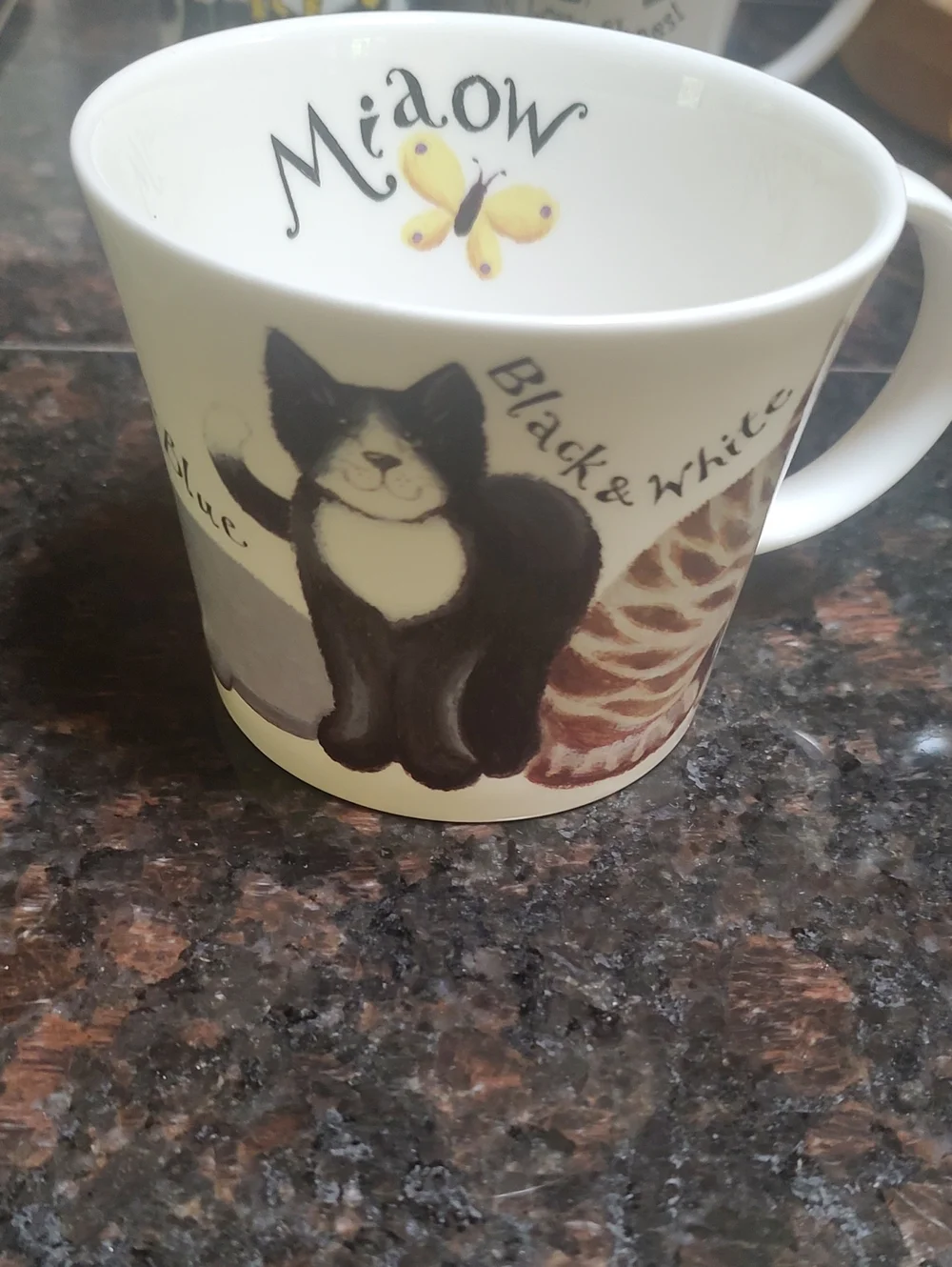 Meow Ceramic Cat Food Bowl - Black & White with Yellow Accent